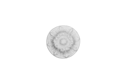 Plafondrozet Ornament 14x14cm Gips - ORR26 Plafondrozet Ornament 14x14cm Gips - ORR26